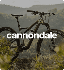 20230619 HOME VIGNETTES MARQUE CANNONDALE