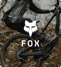 20230619 HOME VIGNETTES MARQUE FOX