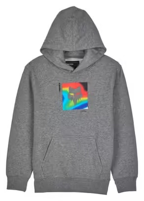 Scans Pullover Hoodie Child Grey