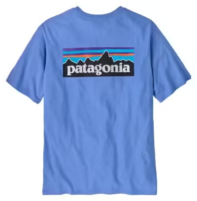 T-Shirt Manches Courtes Patagonia P-6 Logo Bleu Homme
