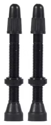 8781-wtb-tcs-brass-presta-valve-black-1.jpg