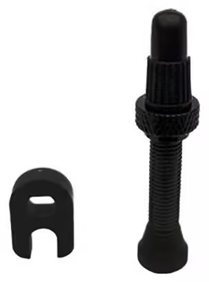 Campagnolo 2-Way Fit Tubeless Valve