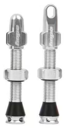 9100-hope-silver-tubeless-valve-pair-1.jpg