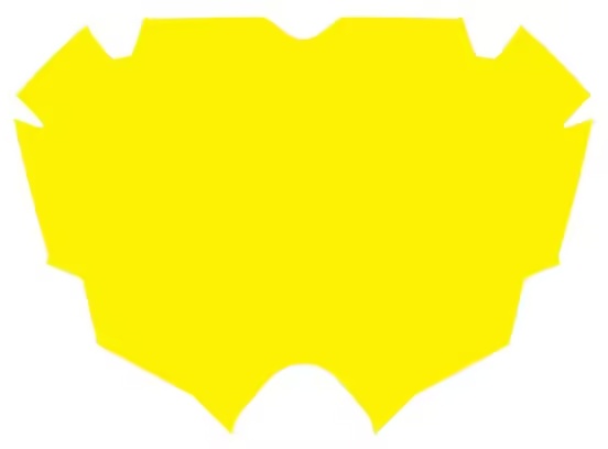 Pride Racing Pride Air Yellow plate